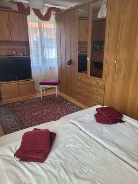 Ferienwohnung Korneuburg Bei Wien -1 المظهر الخارجي الصورة